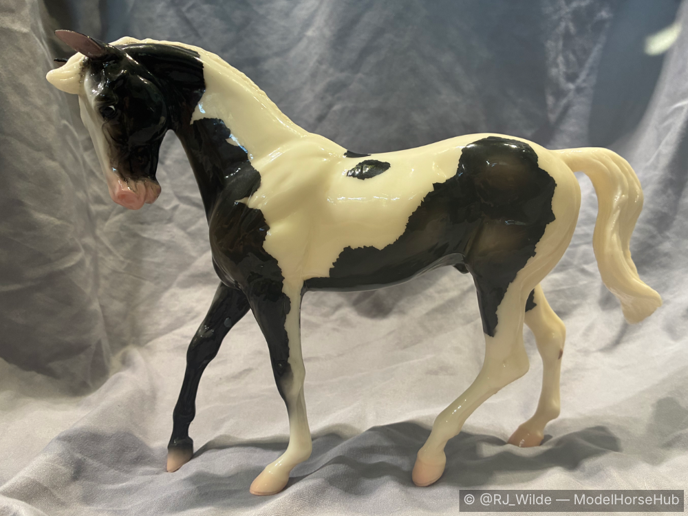Cookies ‘n cream — entry in Warmblood