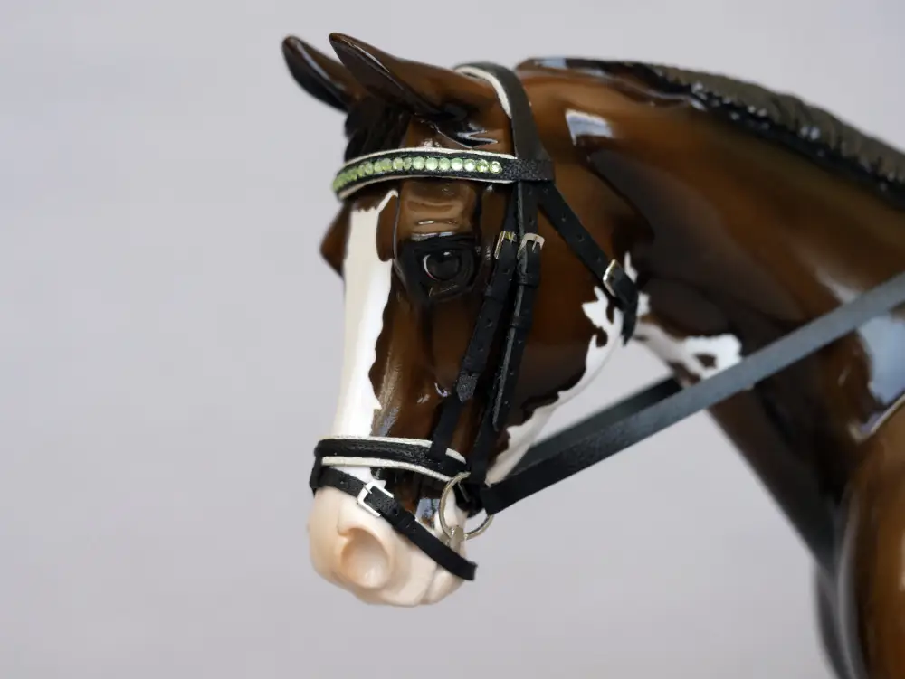 Dressage Bridle with Crystal Browband, Flash Noseband, finished by this studio