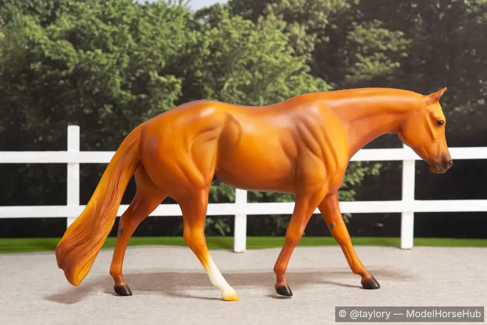 Cowboy — entry in Quarter Horse, Paint & Appaloosa