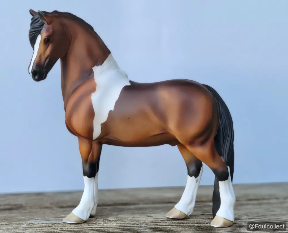 EQC So Help Me Todd — entry in Mixed, Foals & Other Breeds