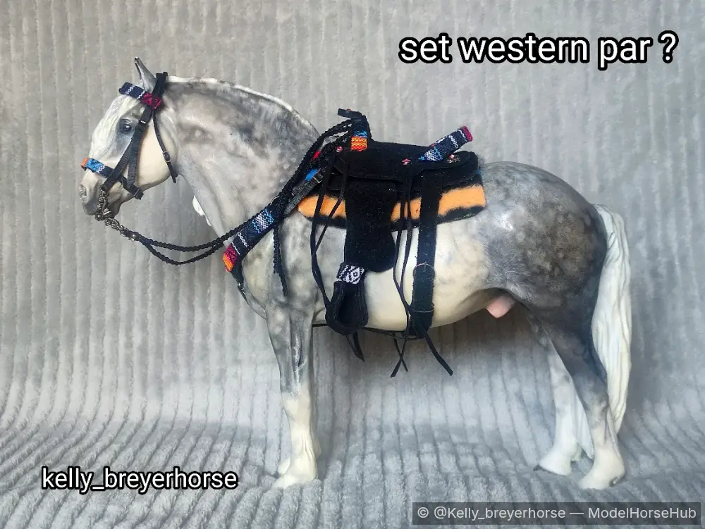 Rainbow western set