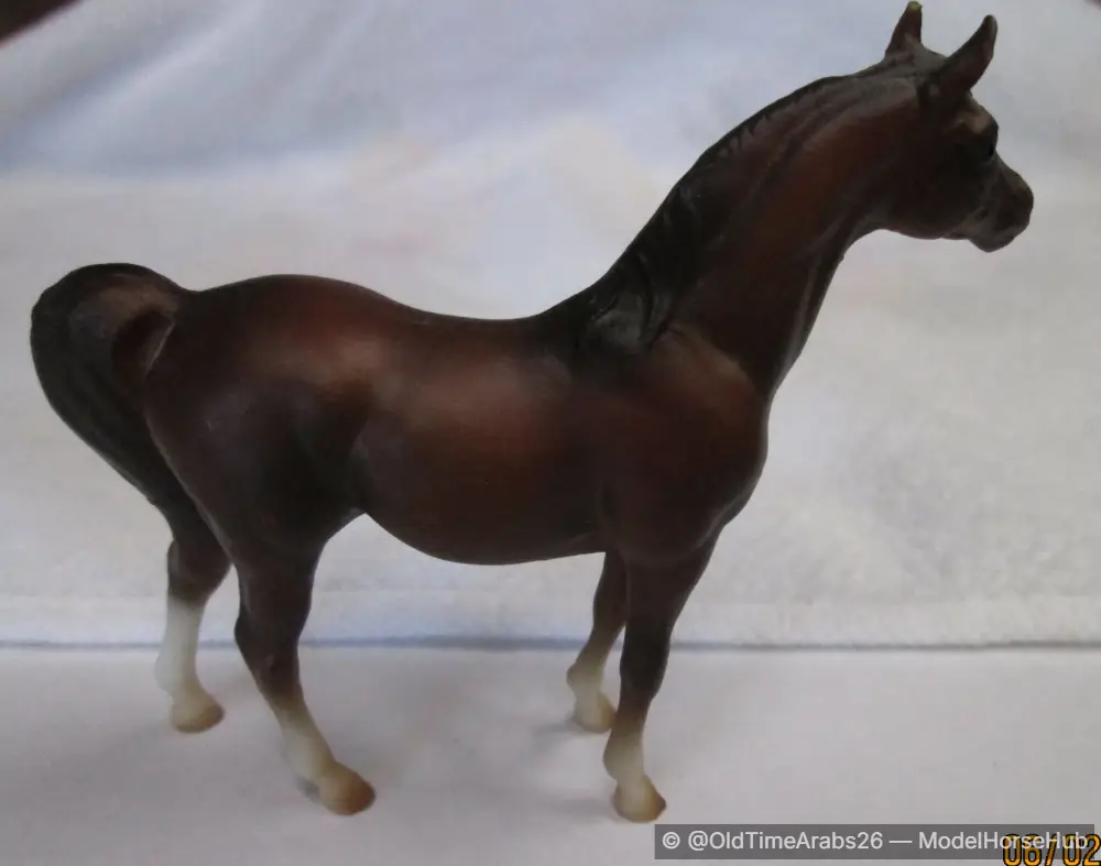 Arabian Stallion 5181