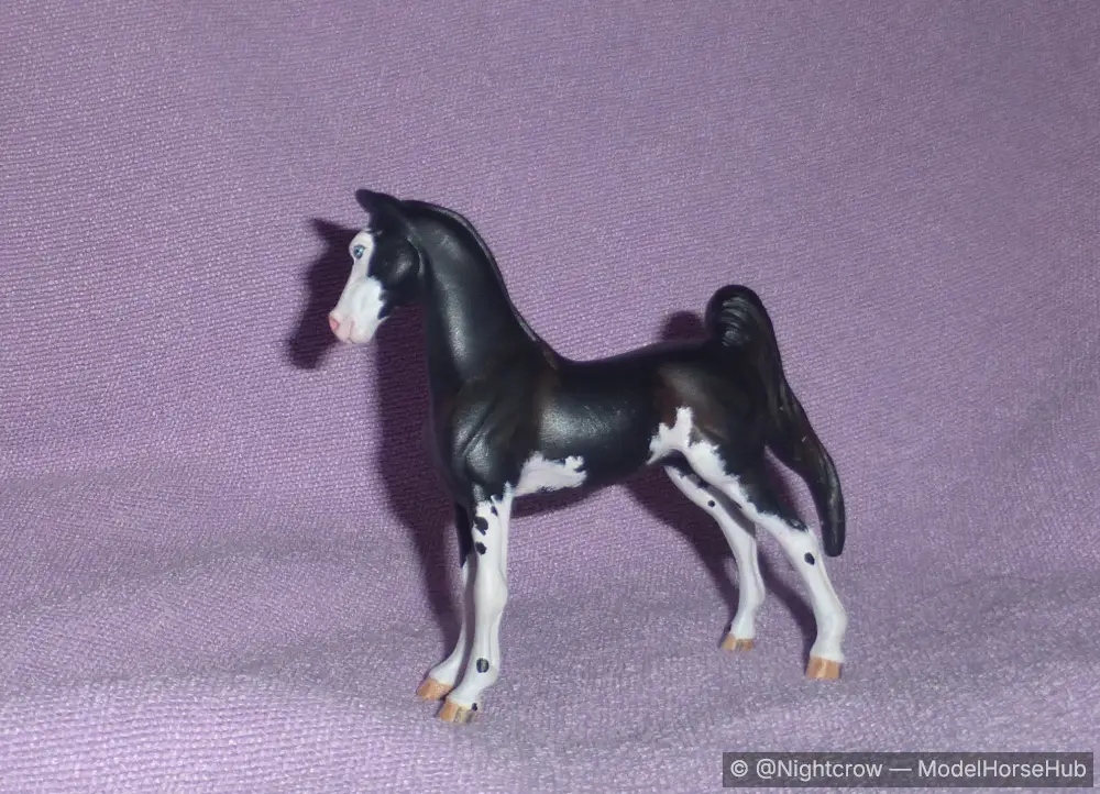 Black Sabino Saddlebred