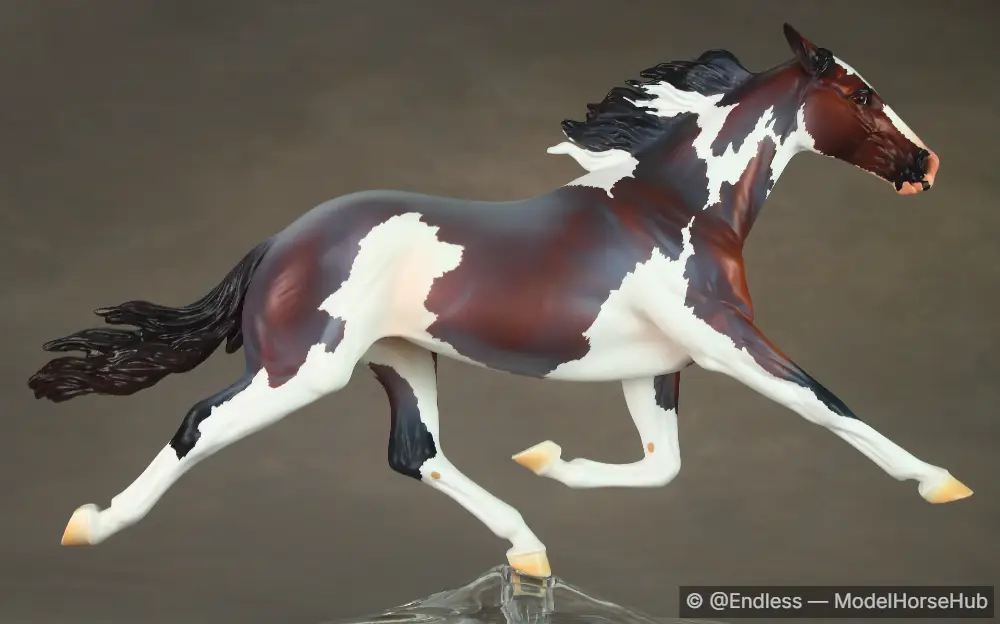 END Constellar — entry in OF Thoroughbred & Standardbred