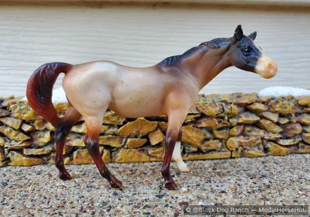 Roany Pony - 168